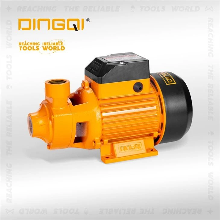 কৃষির জন্য 550W QB70 বৈদ্যুতিক জল পাম্প